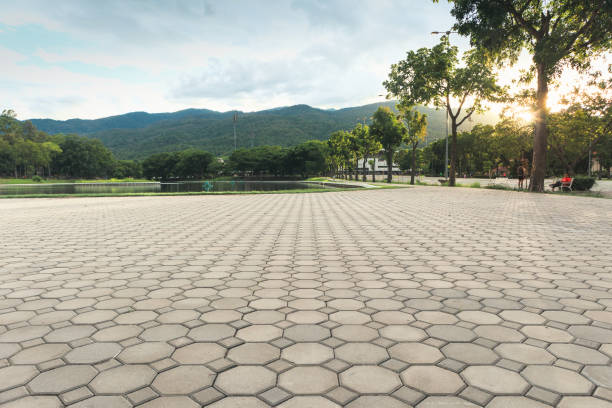 Best Custom Driveway Design and Paving in College, AK